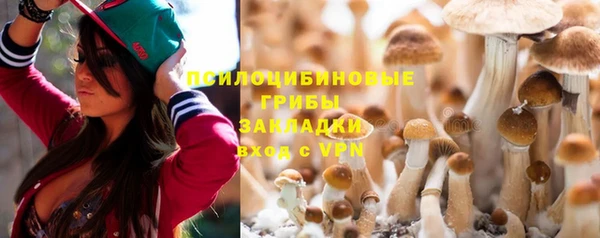 шишки Иноземцево
