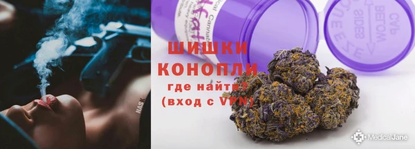 трава Лабытнанги