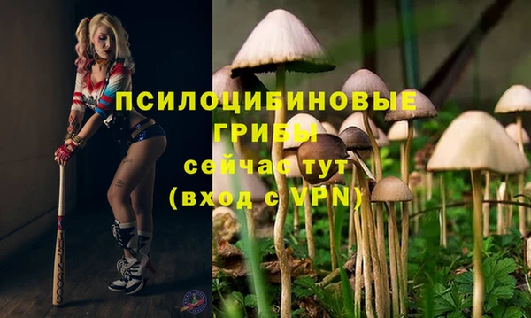 apvp Ладушкин