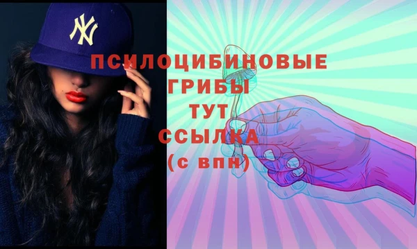 apvp Ладушкин