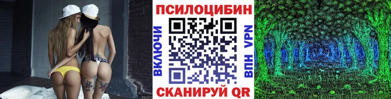 купить  цена  Куртамыш  Псилоцибиновые грибы мухоморы 
